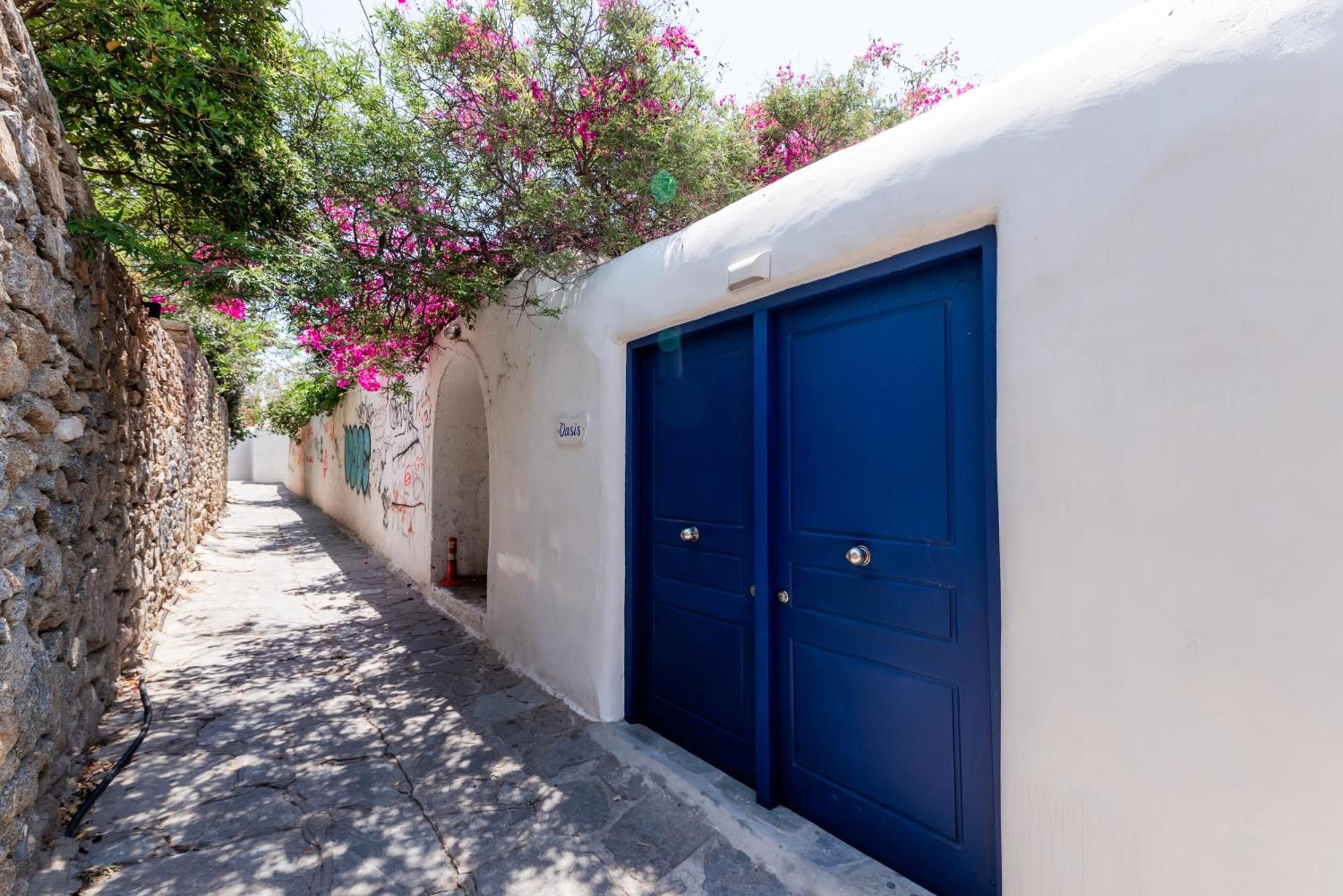 Olive Tree Mykonos Town Semi-Basement Apartment Kültér fotó