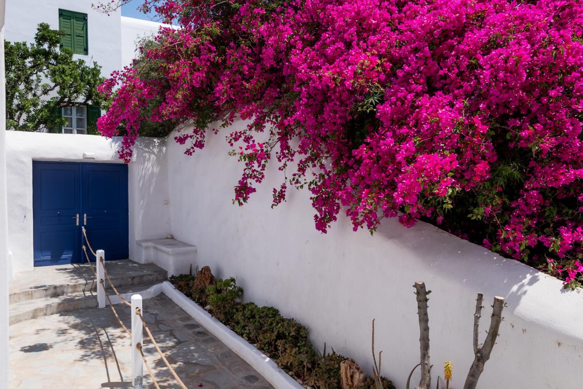 Olive Tree Mykonos Town Semi-Basement Apartment Kültér fotó